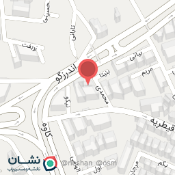 عکس برگر اتومی