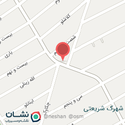 عکس ساندویچی چگین برگر