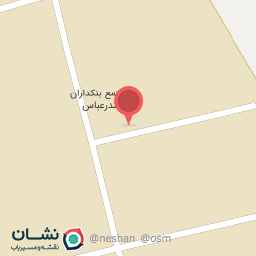 عکس پخش تخم مرغ دهقان 