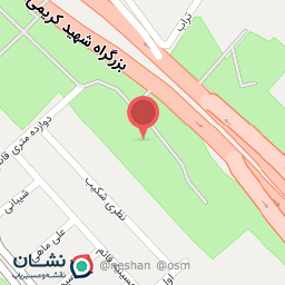 عکس شهید میر هادی