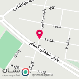 عکس سامی تاتو پاکدشت