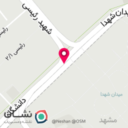 عکس آژانس دیجیتال مارکتینگ امیر هوشمند زاده