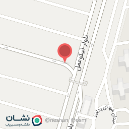 عکس سلف سرویس مامان جون