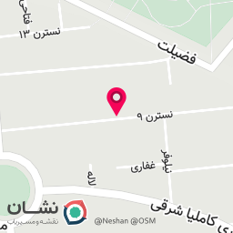 عکس سبزی فروشی شفیعی