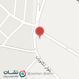 عکس چاپ و تکثیر صدف