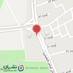 عکس پیتزا تو