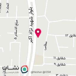 عکس کارواش برادران 