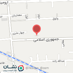 عکس اکبر پیتزا