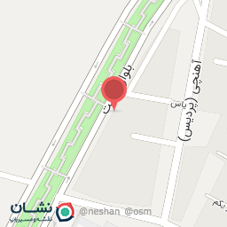 عکس فود کیلویی چاپاتی