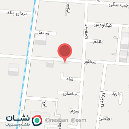 عکس کفش پارسا