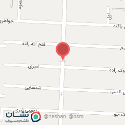 عکس گالری کفش ناصری