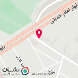 عکس پرنده فروشی 