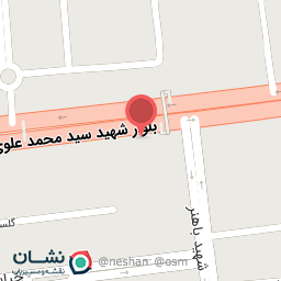 عکس پیتزا پارسا