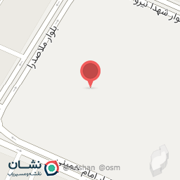 عکس کفش ویوا