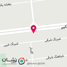 عکس دکتر صحیح النسب
