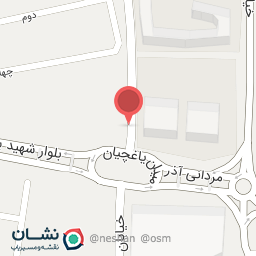 عکس تاکسی تلفنی شبانه روزی ناس