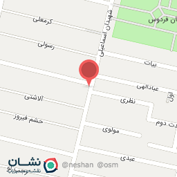 عکس رنگ فروشی مهدی 