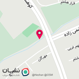 عکس مدرسه فوتبال استعدا دهای درخشان روستوف