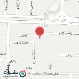 عکس دکتر حسین شاولی