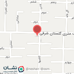 عکس الکتریکی ویرا نور