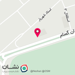 عکس قصابی و کبابی آتشی
