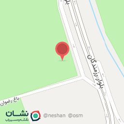 عکس صدف سنگ