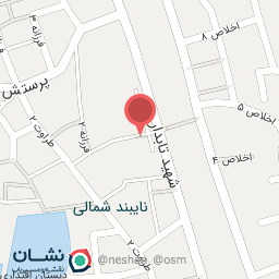 عکس فروشگاه نایبند شمالی