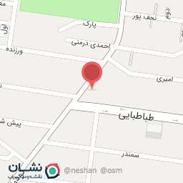 عکس پیتزا منصور