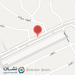 عکس الکتریکی افشان (عبدالحسین زاده)