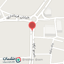 عکس تهیه غذا تک تام