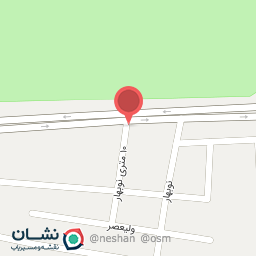 عکس صافکاری همایون