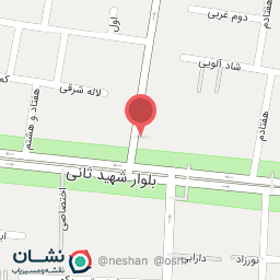 عکس دکتر مسعود صدرالدینی