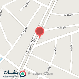 عکس الکتریکی نادری