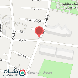 عکس کلید سازی شاکری