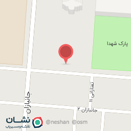 عکس پیتزا آیسان