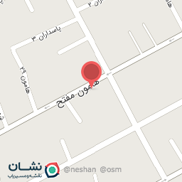 عکس تودوزی و تزئینات اتومبیل