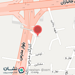 عکس کباب طلا