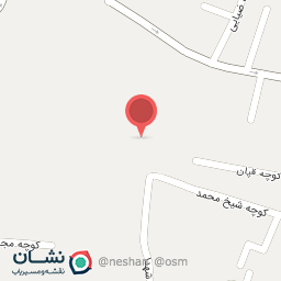 عکس فروشگاه ولایی