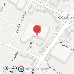 عکس کیف و کفش داما