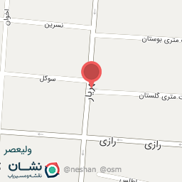 عکس نقره حامدی