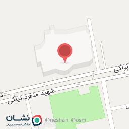 عکس کیف و کفش دندی