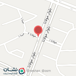 عکس نوشت افزار نگین