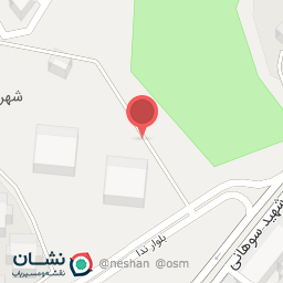 عکس پیتزا بامزی