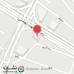 عکس سکه روان جو