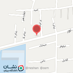 عکس سوپر میوه صالحی 