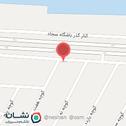 عکس مکانیکی امام رضا (ع)