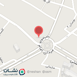 عکس فست فود