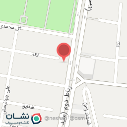 عکس آنیل برگر