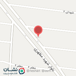 عکس الکتریکی توکل (شوان)