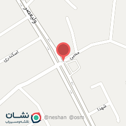 عکس اتو سرویس نیک پی